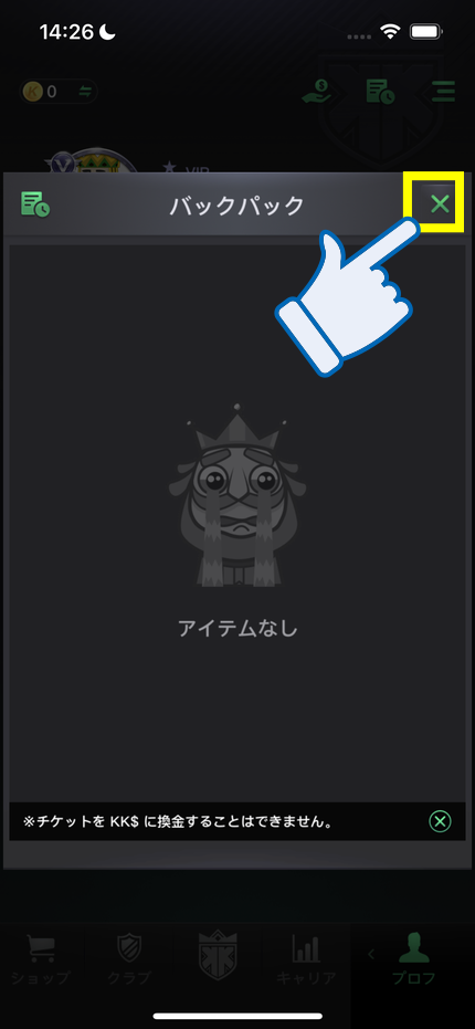 「アイテムなし」